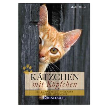 Katzenbuch Cadmos Kätzchen mit Köpfchen