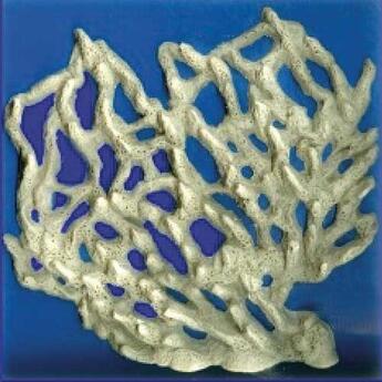 Fackert: Korallen Formen Gitter Steingrau 19x19cm