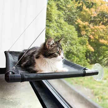 katzen Heizkörperliege Duvo+ Fensterhängematte für Katzen schwarz 66x40x2,5cm