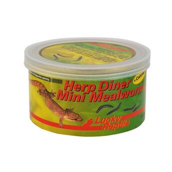 Lucky Reptile Herp Diner Mealworms Mini  35g