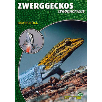 NTV: Zwerggeckos Die Gattung Lygodactylus