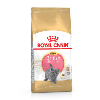 Trockenfutter Katze Royal Canin: Kitten British Shorthair  10 kg