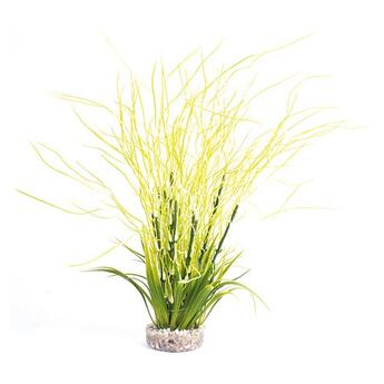 Sydeco: Hair Grass ca. 38cm grün/weiß 1 Stück
