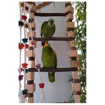 Die Papageienwerkstatt Hängeleiter L  ca. 1700 x 350 mm